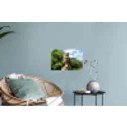 Uil - Boomstronk - Bos - Lucht Muursticker klein -plant