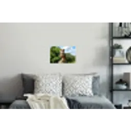 Uil - Boomstronk - Bos - Lucht Muursticker klein -slaapkamer