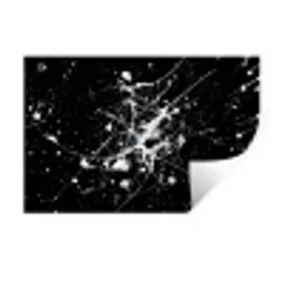 Verfspatten - Wit - Abstract - Explosie Muursticker klein -3d