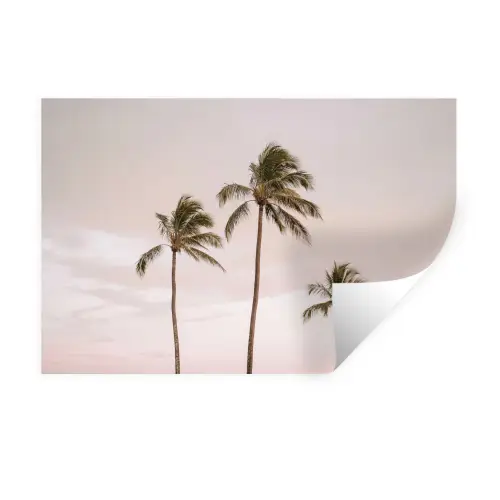 Palmbomen - Zonsondergang - Roze Muursticker klein -3d
