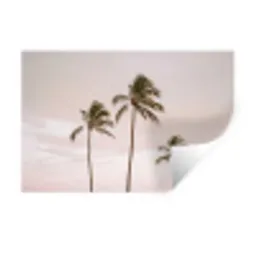 Palmbomen - Zonsondergang - Roze Muursticker klein -3d
