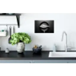 Pan - Vis - Zwart - Wit Muursticker klein -keuken
