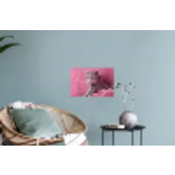 Panter - Luxe - Roze Muursticker klein -plant
