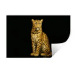 Panter - Realistisch - Bruin Muursticker klein -3d