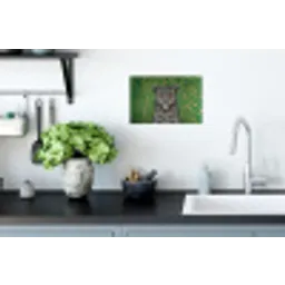 Panter - Zebrapatroon - Groen Muursticker klein -keuken
