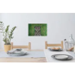 Panter - Zebrapatroon - Groen Muursticker klein -eettafel