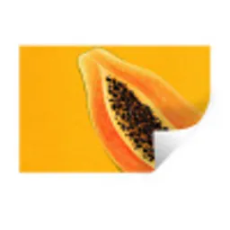 Papaja - Oranje - Topisch Muursticker klein -3d