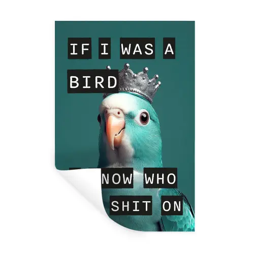 Parkiet - Turquoise - Quotes - Decoratie Muursticker klein -3d