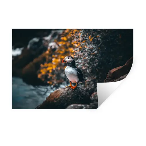 Papegaai - Vogel - Rots - Wit Muursticker klein -3d