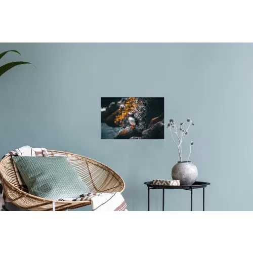 Papegaai - Vogel - Rots - Wit Muursticker klein -plant