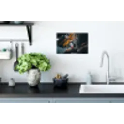 Papegaai - Vogel - Rots - Wit Muursticker klein -keuken