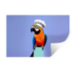 Papegaai - Koksmuts - Vogel - Leuk Muursticker klein -3d