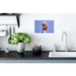 Papegaai - Koksmuts - Vogel - Leuk Muursticker klein -keuken