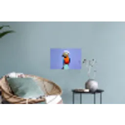 Papegaai - Koksmuts - Vogel - Leuk Muursticker klein -plant