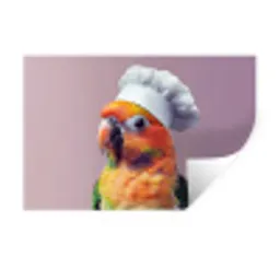 Papegaai - Koksmuts - Nieuwsgierig - Vogel Muursticker klein -3d