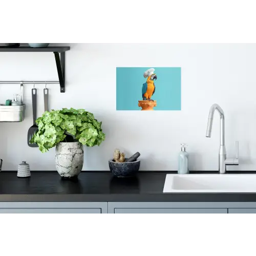 Papegaai - Koksmuts - Grappig - Vogel Muursticker klein -keuken