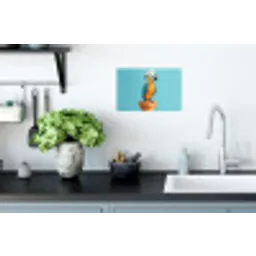 Papegaai - Koksmuts - Grappig - Vogel Muursticker klein -keuken