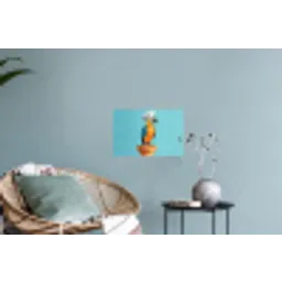 Papegaai - Koksmuts - Grappig - Vogel Muursticker klein -plant