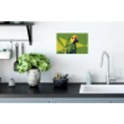 Papegaai - Groen - Snavel - Abstract Muursticker klein -keuken