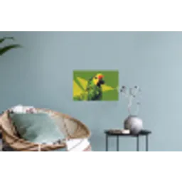Papegaai - Groen - Snavel - Abstract Muursticker klein -plant