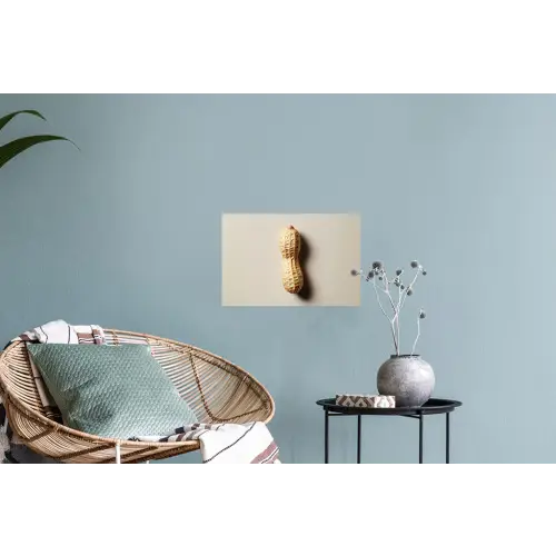 Pinda - Ruw - Beige Muursticker klein -plant