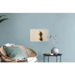 Pinda - Ruw - Beige Muursticker klein -plant
