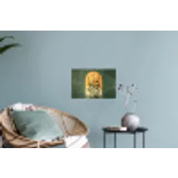 Plant - Bloemen - Wit Muursticker klein -plant