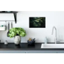 Plant - Monstera - Lichtinval Muursticker klein -keuken