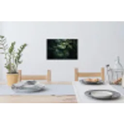 Plant - Monstera - Lichtinval Muursticker klein -eettafel