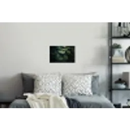 Plant - Monstera - Lichtinval Muursticker klein -slaapkamer