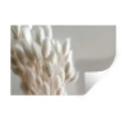 Pluimen - Beige - Minimalistisch Muursticker klein -3d