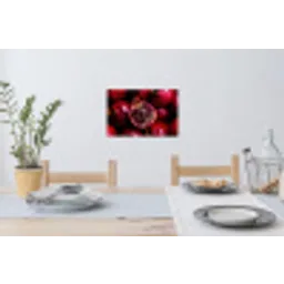 Granaatappel - Rood - Fruit Muursticker klein -eettafel