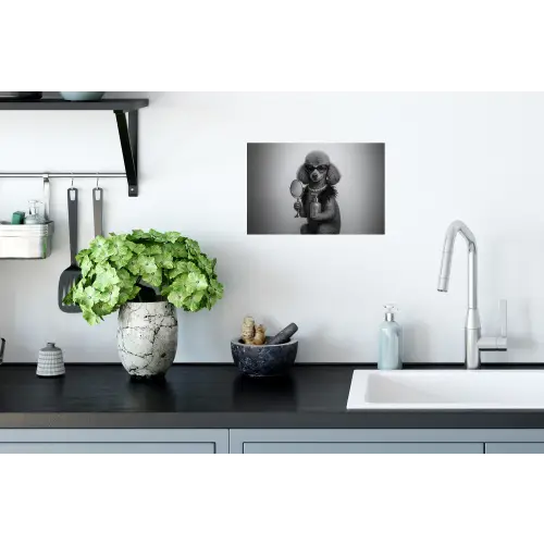 Poedel - Spiegel - Zwart - Wit Muursticker klein -keuken