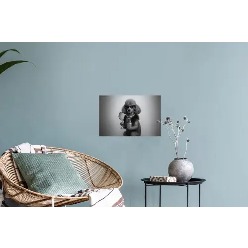 Poedel - Spiegel - Zwart - Wit Muursticker klein -plant