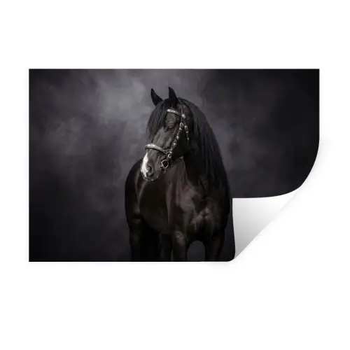 Portret - Paard - Zwart Muursticker klein -3d