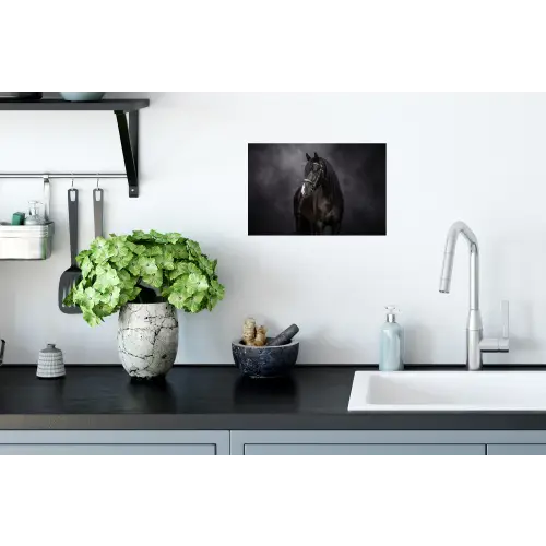 Portret - Paard - Zwart Muursticker klein -keuken