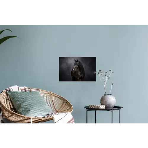 Portret - Paard - Zwart Muursticker klein -plant