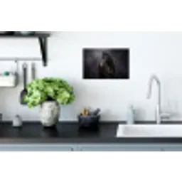 Portret - Paard - Zwart Muursticker klein -keuken