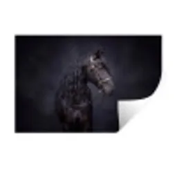 Portret - Paard - Donker Muursticker klein -3d