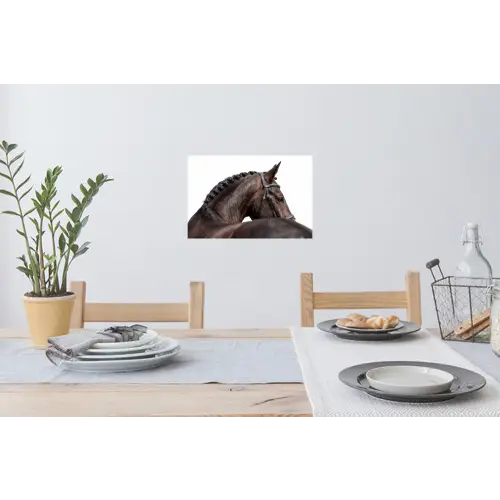 Portret - Paard - Elegant Muursticker klein -eettafel