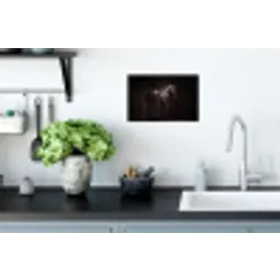 Krachtig - Paard - Donker Muursticker klein -keuken