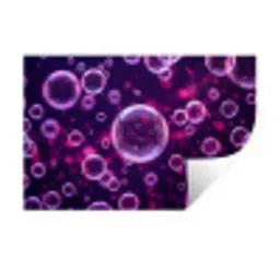 Paars - Bubbels - Schuim Muursticker klein -3d