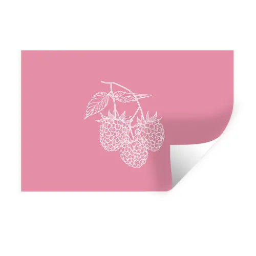 Frambozen - Steel - Getekend - Roze Muursticker klein -3d