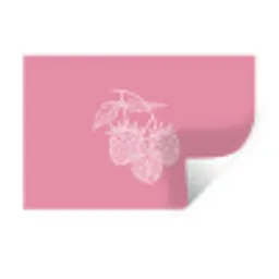 Frambozen - Steel - Getekend - Roze Muursticker klein -3d