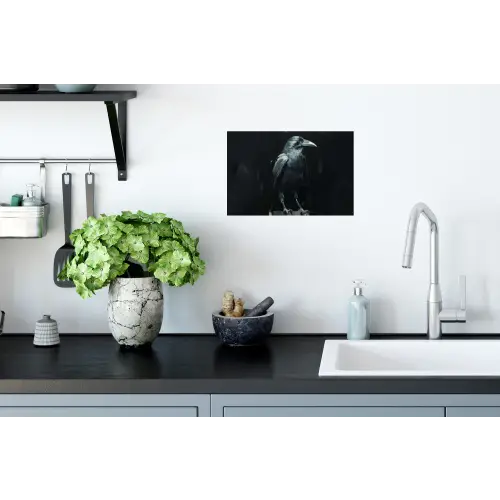 Raaf - Vogels - Zwart Muursticker klein -keuken