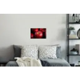 Rood - Appels - Fruit Muursticker klein -slaapkamer