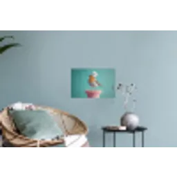Roodborstje - Vogel - Koksmuts - Sokkel Muursticker klein -plant