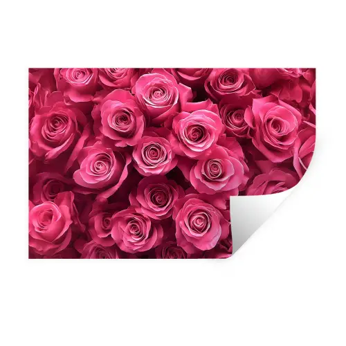 Rozen - Pink - Bloem Muursticker klein -3d