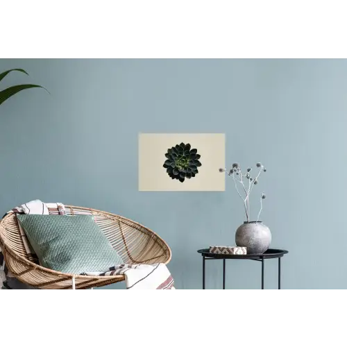 Rozet - Cirkelvormig - Donkergroen Muursticker klein -plant