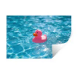 Badeend - Dobberend - Roze Muursticker klein -3d
